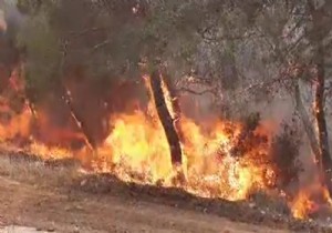 KKTC Ar Scak  Sar Alarm   Verdirdi